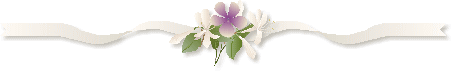 分割线4