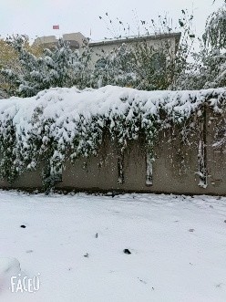 雪