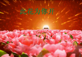 鲜花
