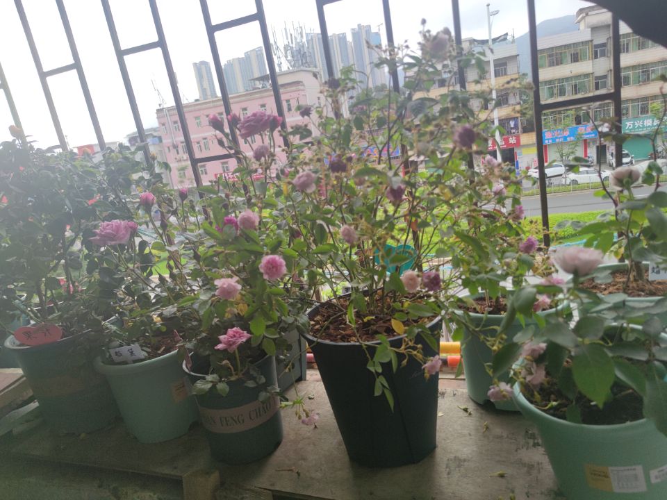 好