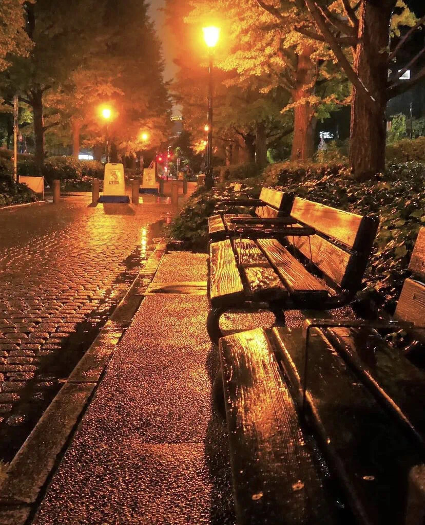 秋夜