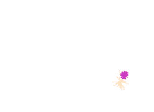 动态图