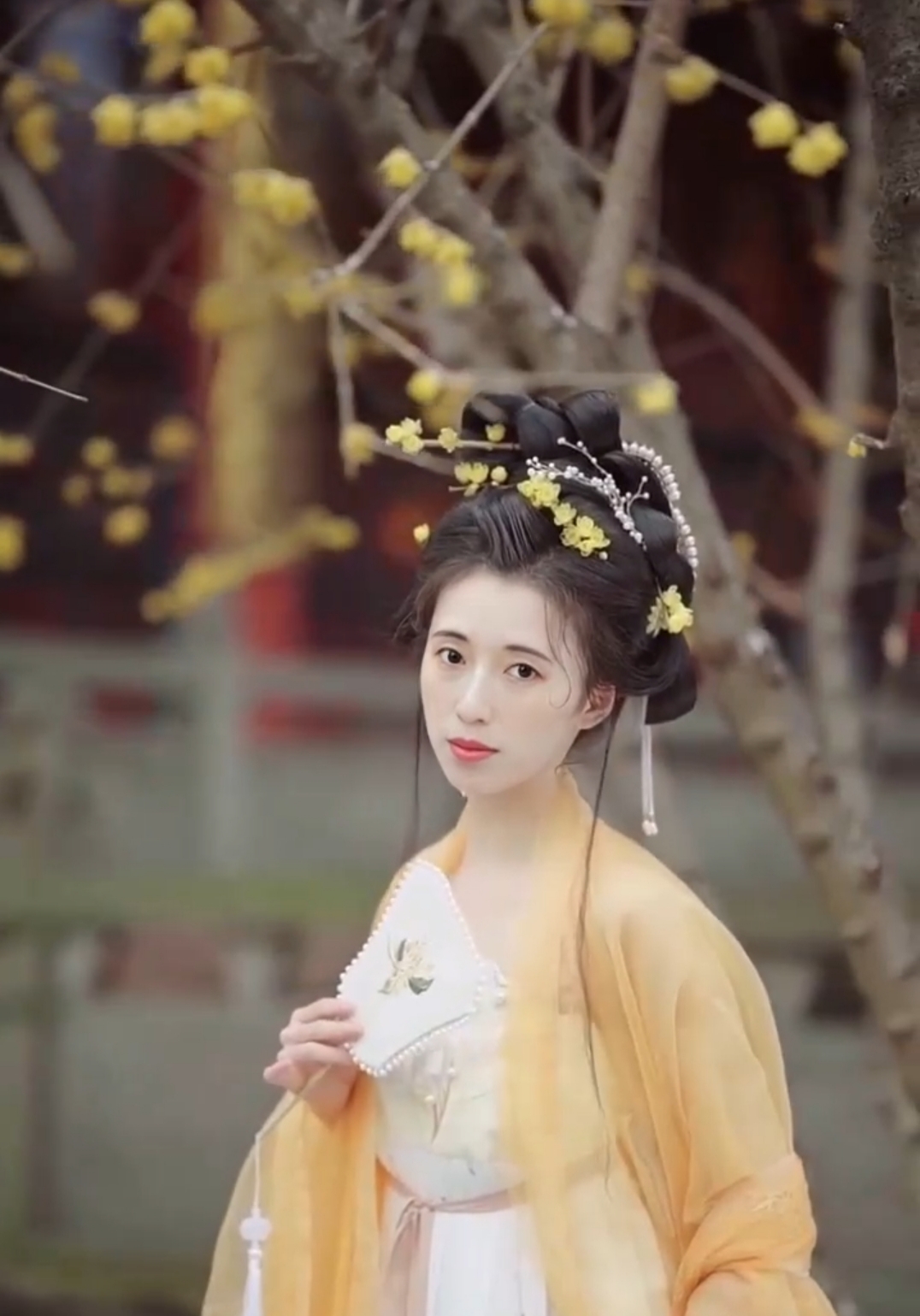 回家