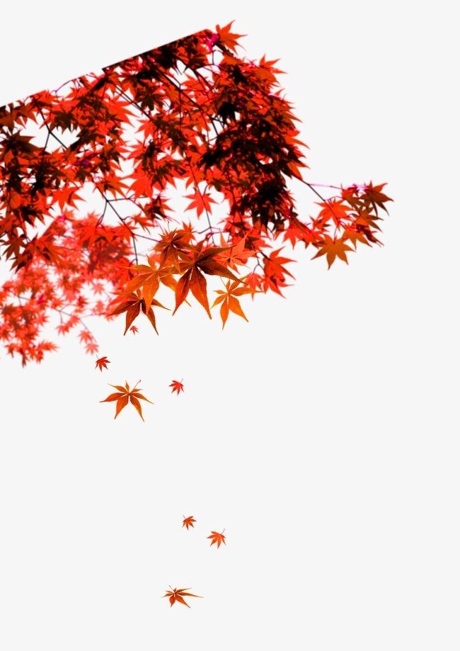 惜别