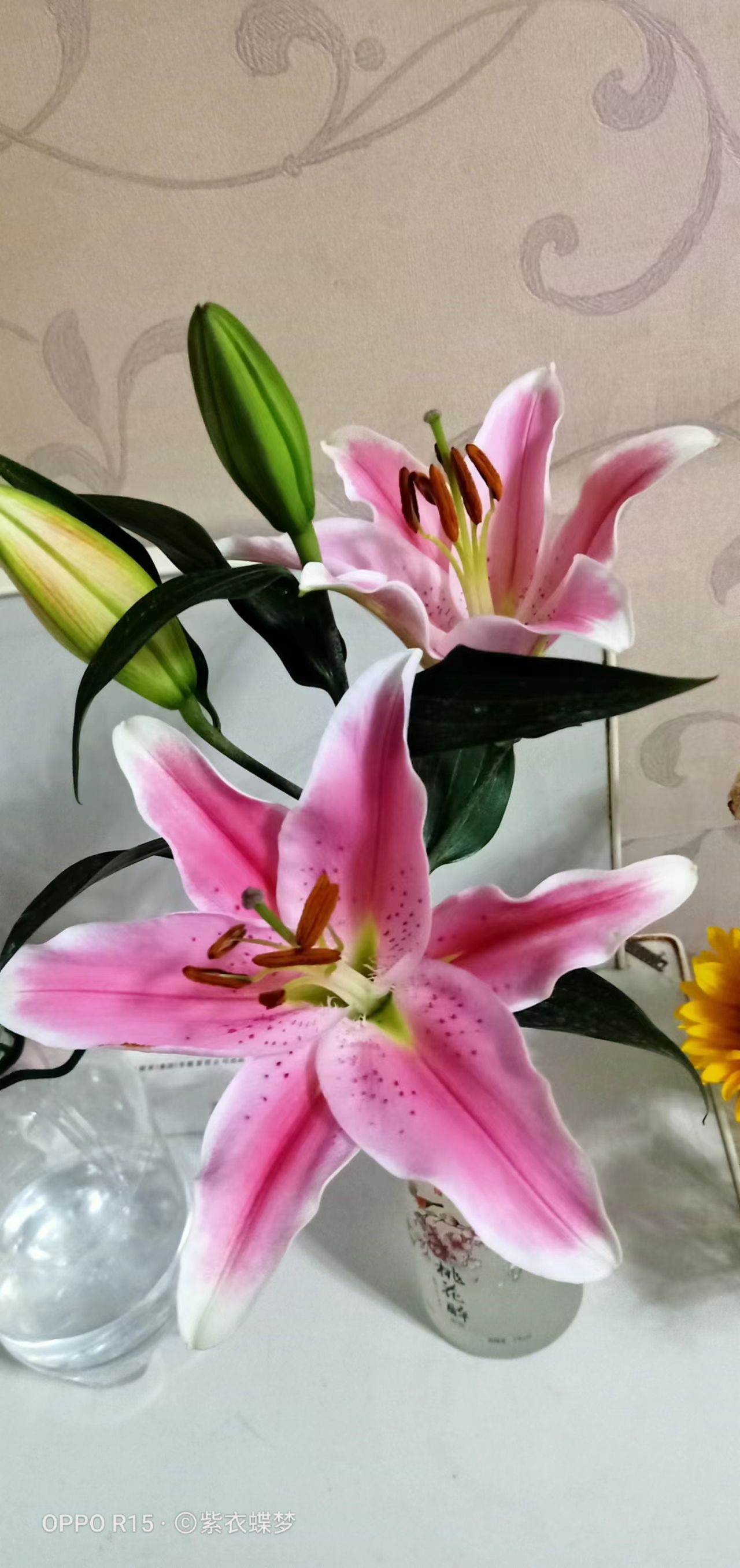 花开了