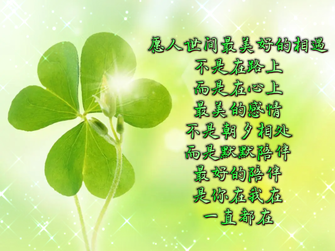 喜欢这段话