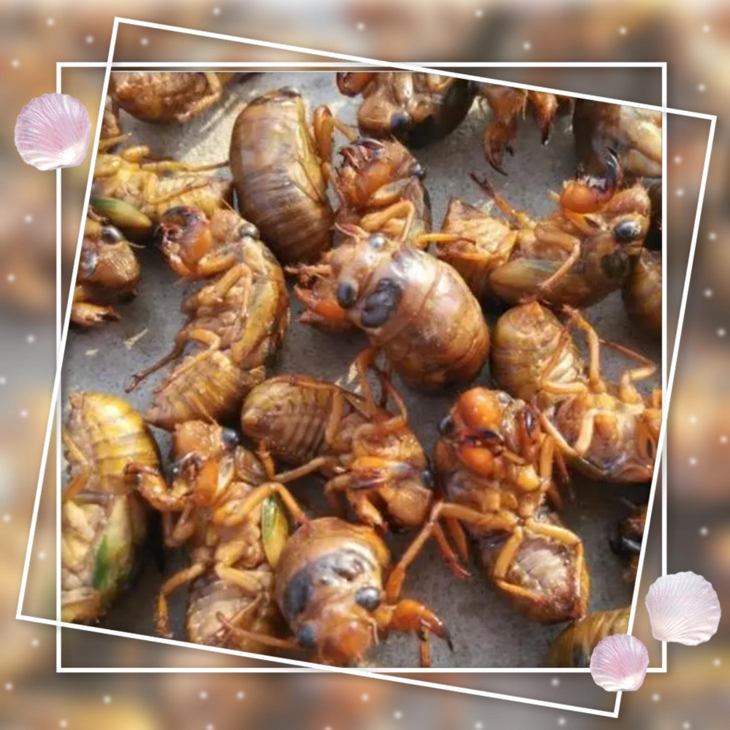 来来来给个建议