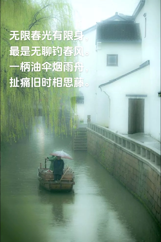 雨舟