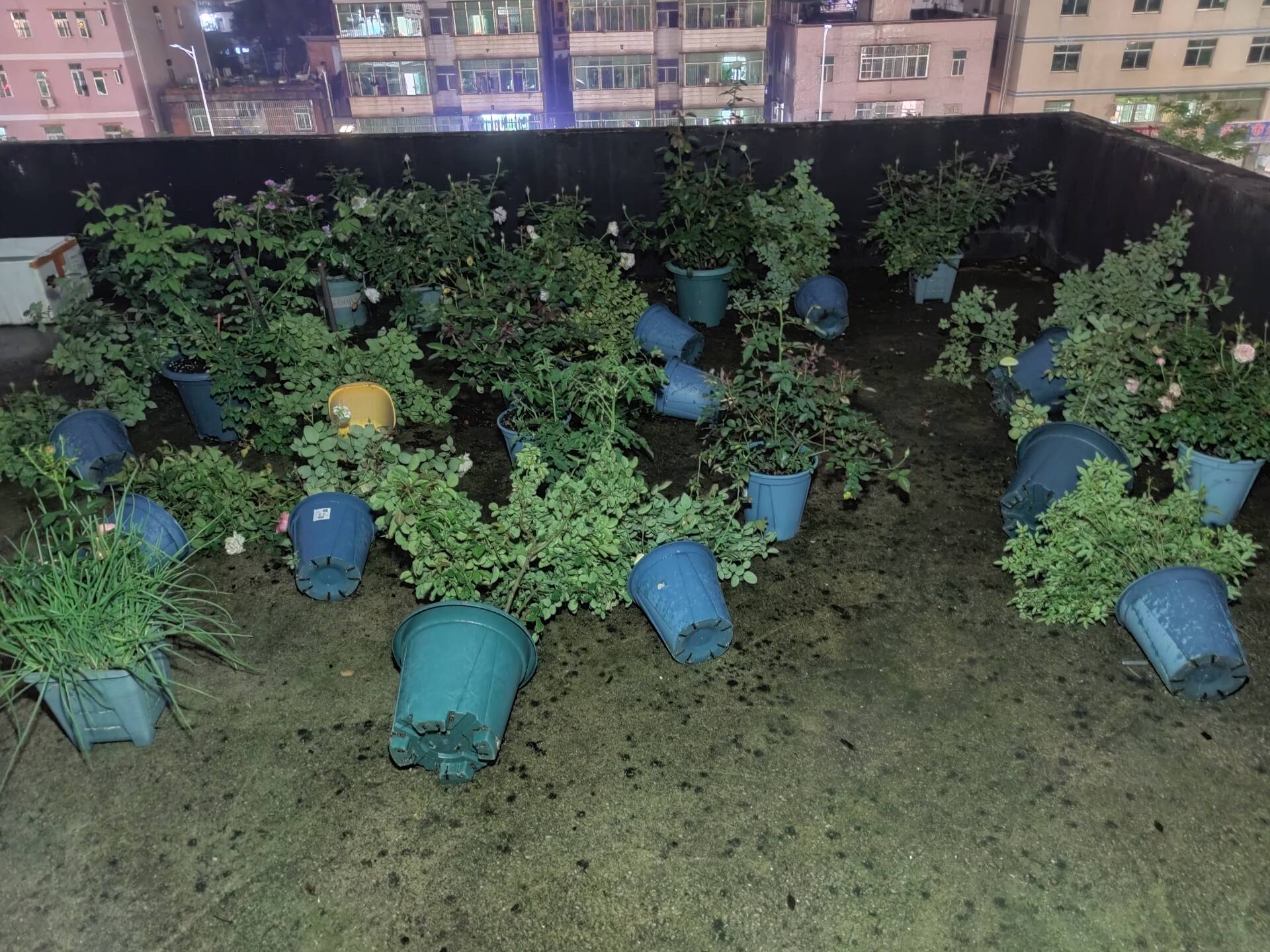 一片狼藉