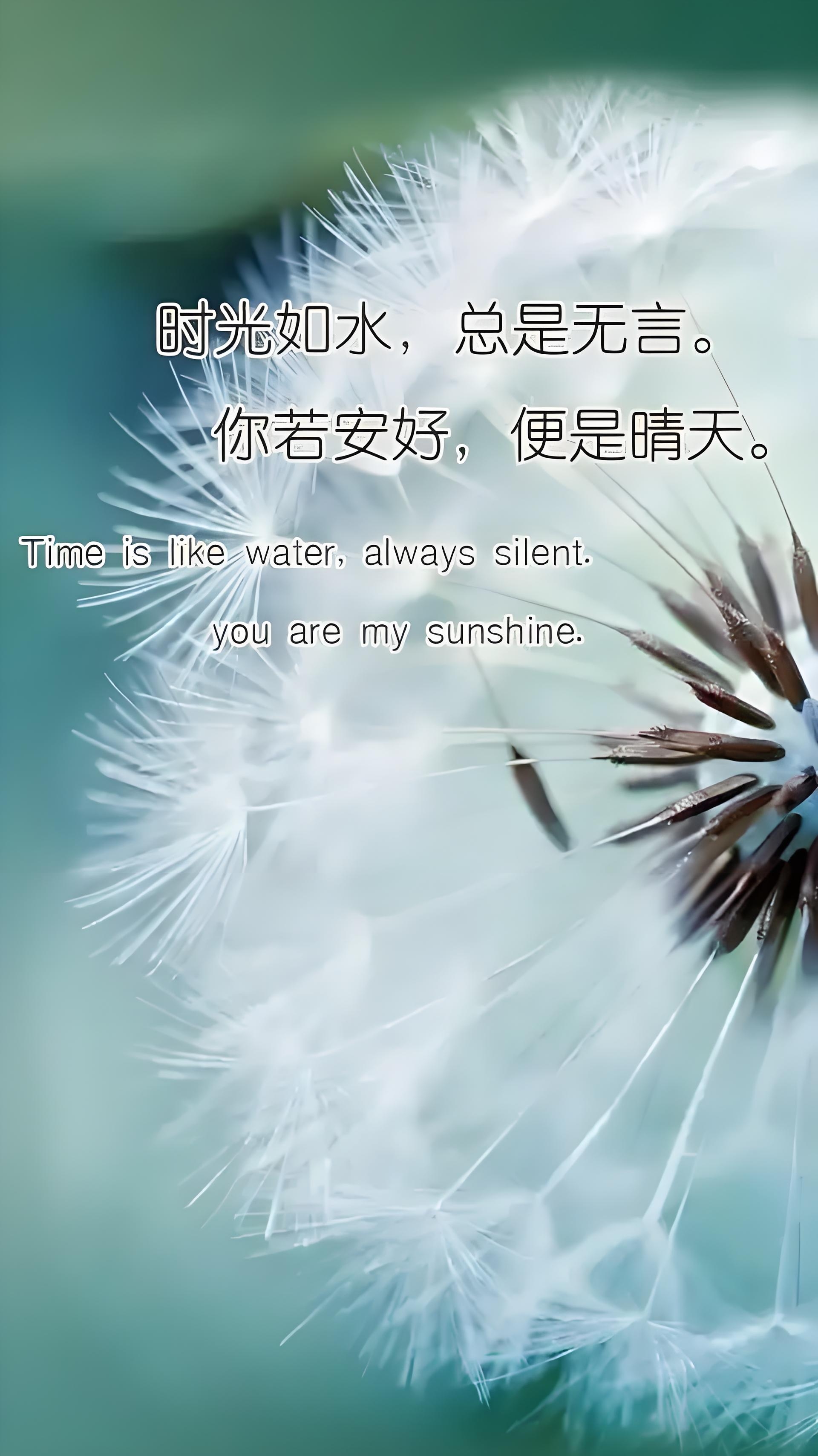 好久没来了
