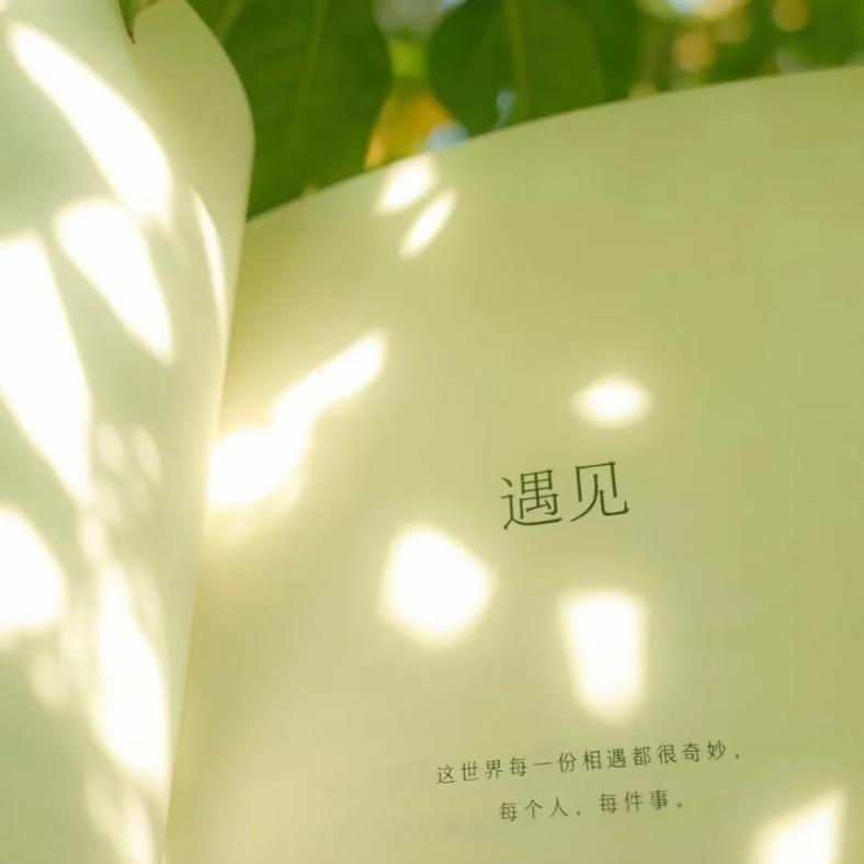 　 　遇见