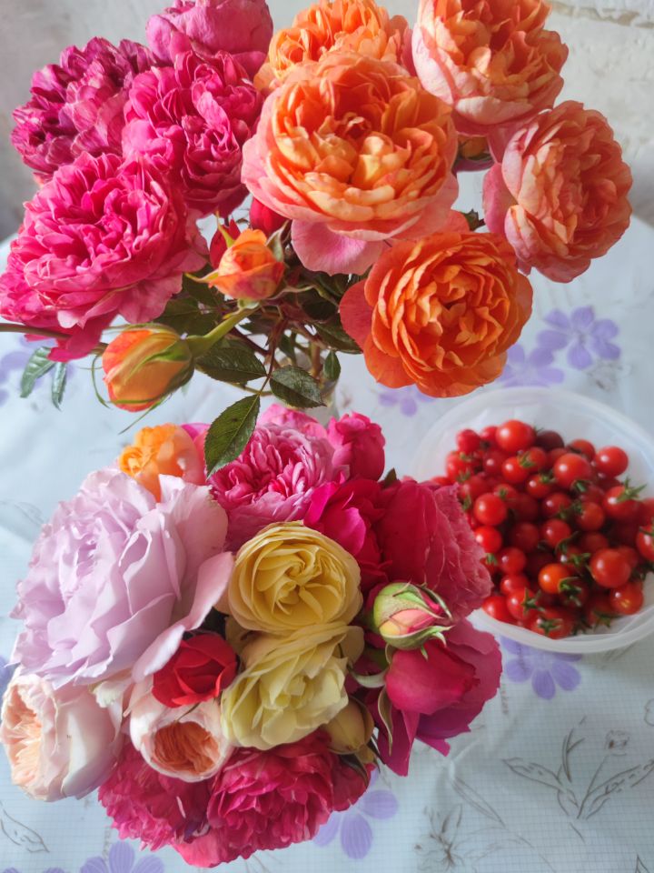 回家过年也头疼