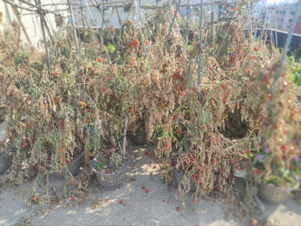 返深后的惊喜与惊吓