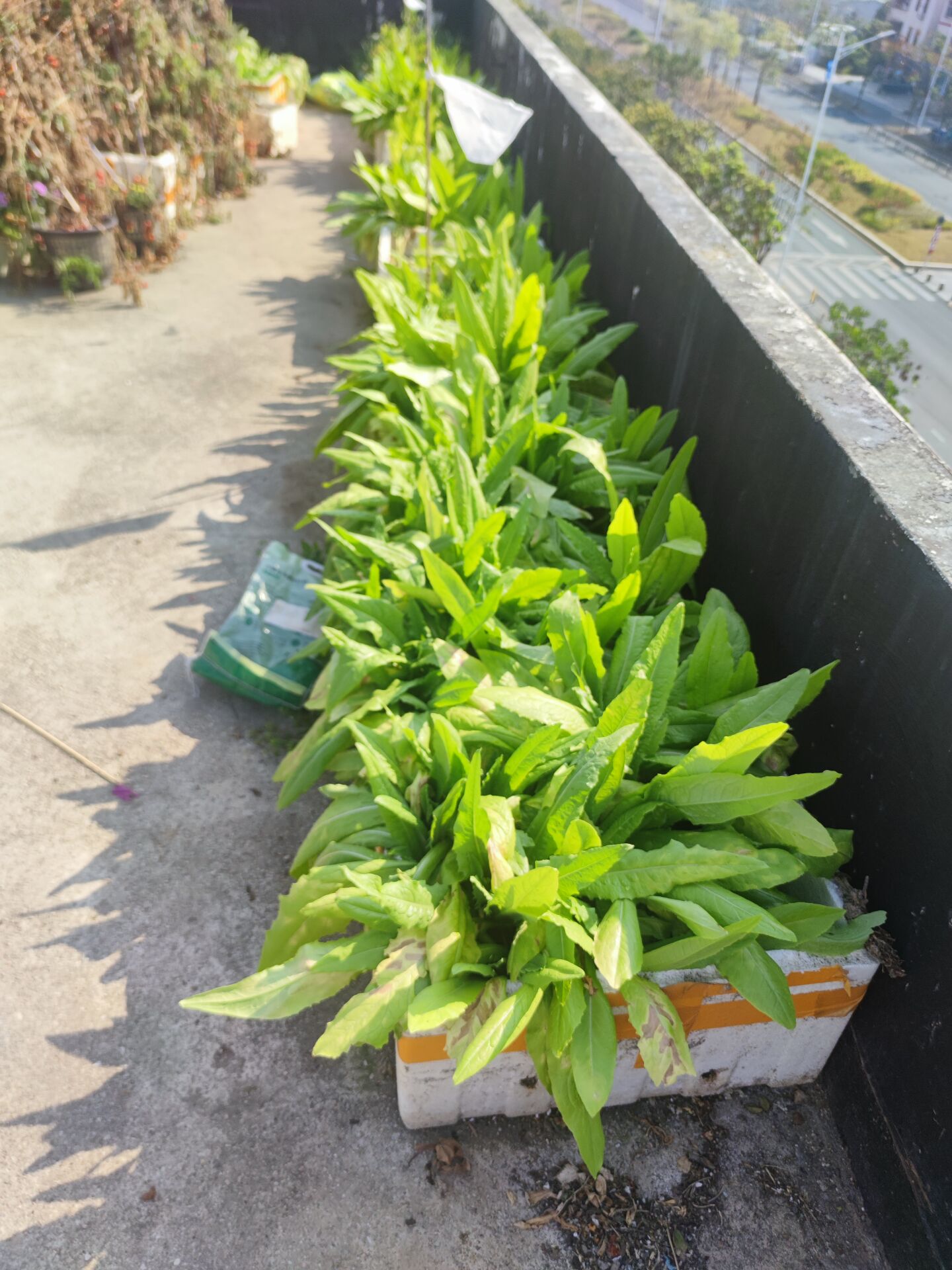 返深后的惊喜与惊吓