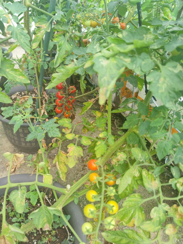不听劝