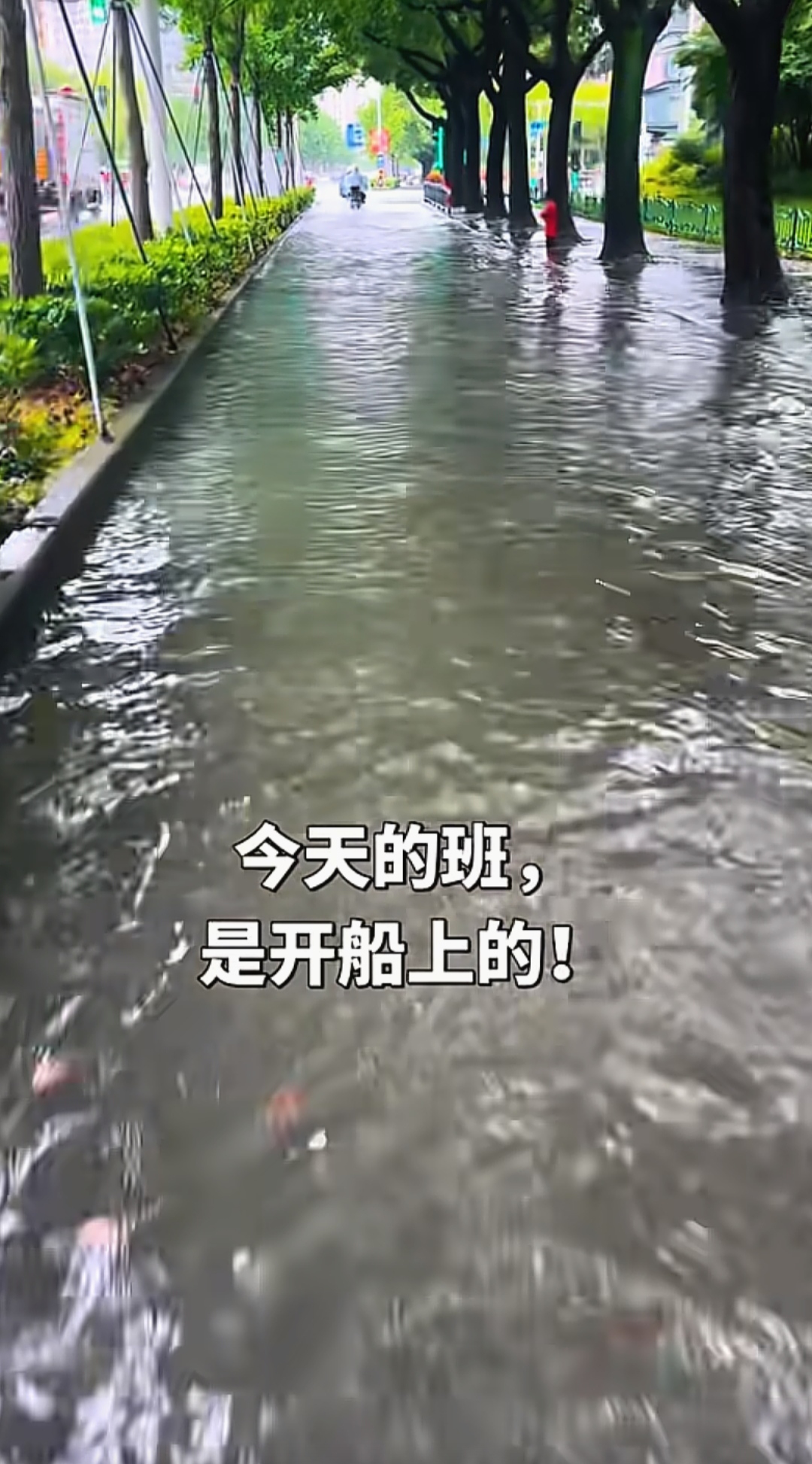 我该怎么说呢
